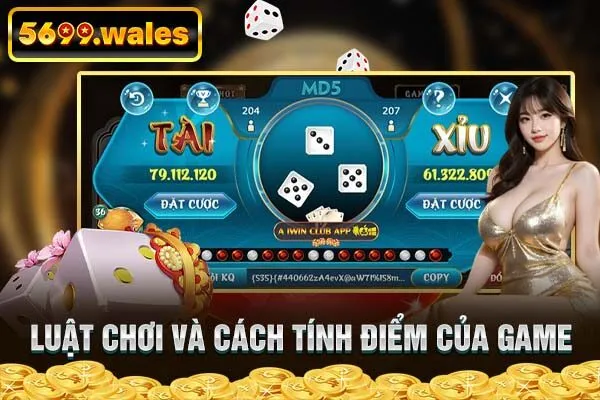 Luật chơi và cách tính điểm của game